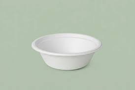 Bagasse Bowls