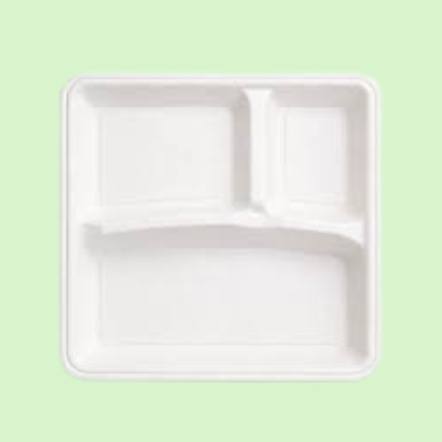 Square 10-inch bagasse plate with 3 sections, premium sugarcane fiber construction.