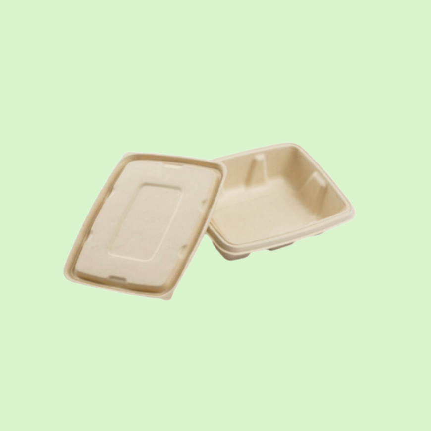 Compostable bagasse lid for 500ml rectangular food container.